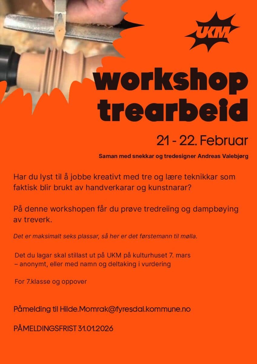 Workshop i Trearbeid