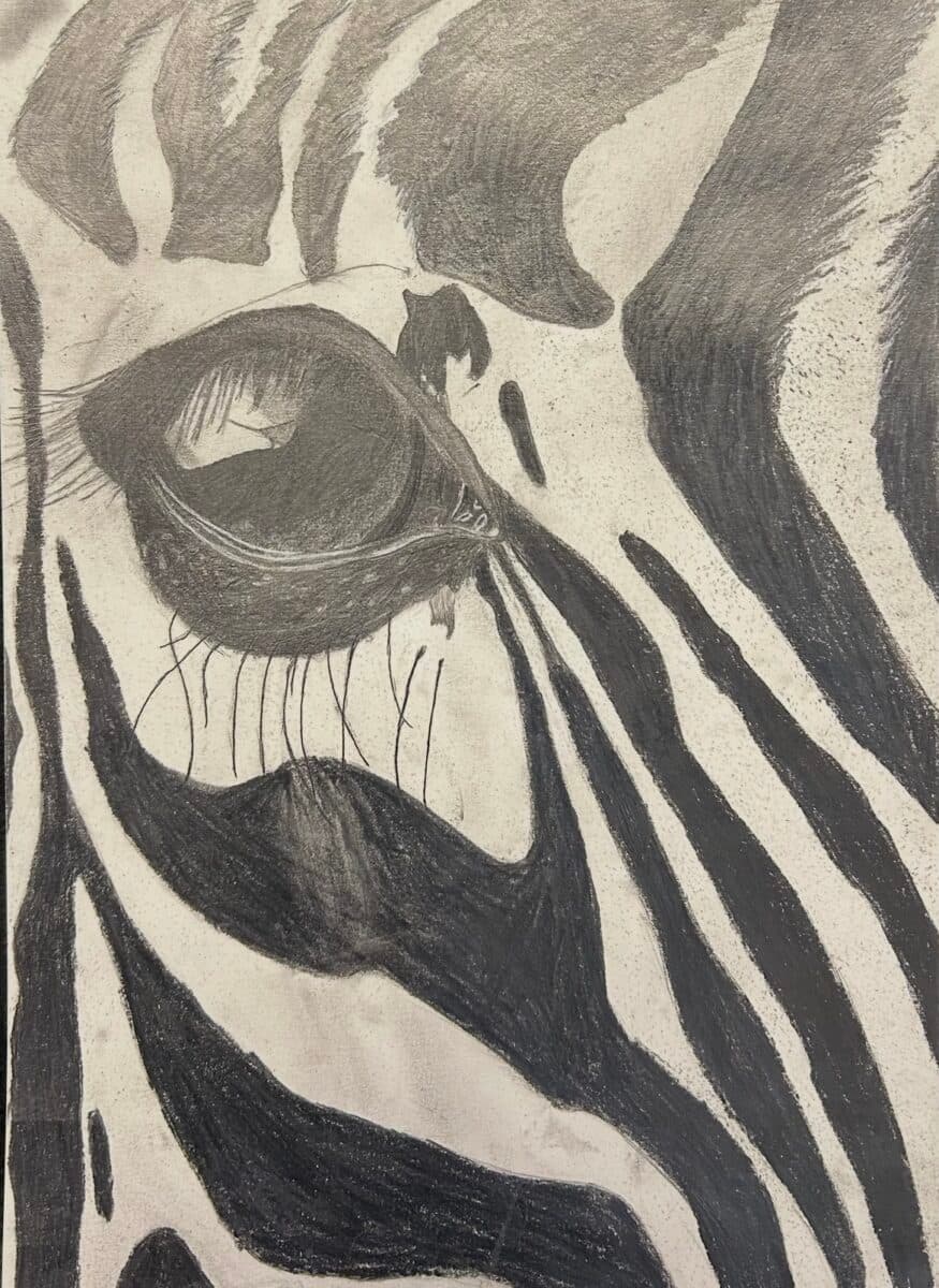 UKM Heim Lokalfestival 2026